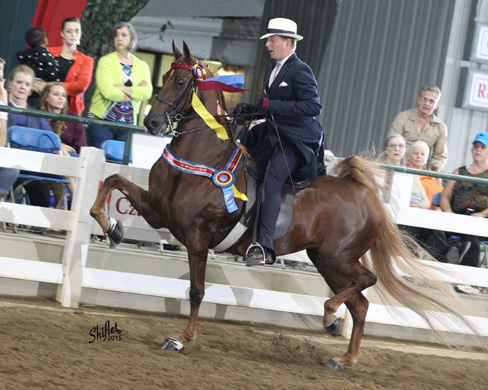 Olde Town Conyers streetscape or Georgia International Horse Park.